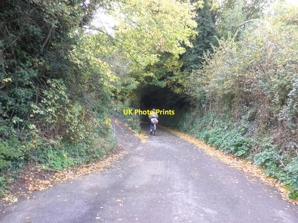 Photo 6"x4" Periton Lane Minehead c2010