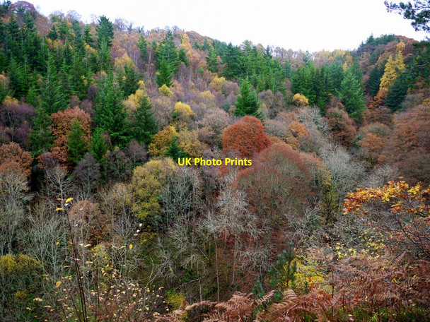 Photo 6"x4" Harsondale Cleugh from Staward Peel Langley\/NY8261 c2010
