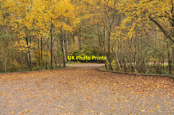 Photo 6"x4" Parking area and picnic site at South Laggan Laggan\/NN2996 c2010