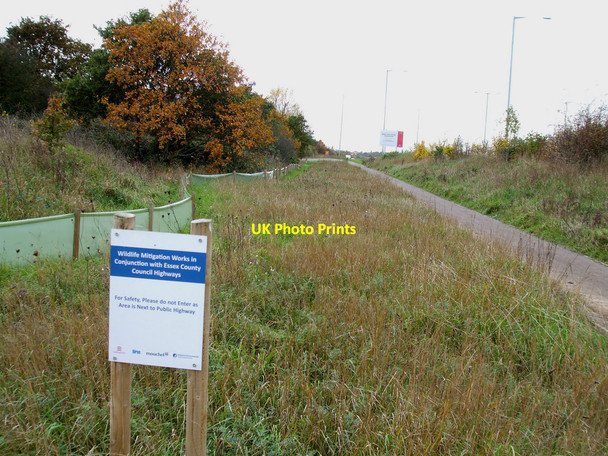 Photo 6"x4" Wildlife Mitigation New Thundersley c2010
