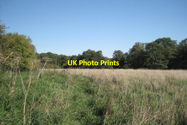 Photo 6"x4" Field by Kingswood Brook Holywell\/SP1966 c2010