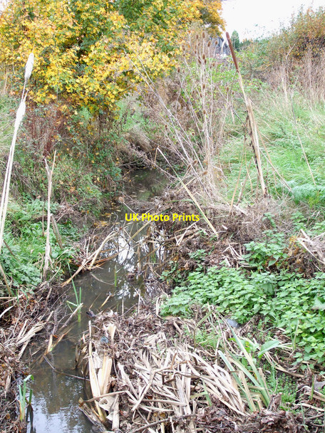 Photo 6"x4" Stream with a view Rawreth c2010