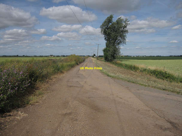 Photo 6"x4" Minor road to Tubb's Farm Sutton Gault c2010