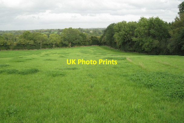 Photo 6"x4" Grass and clover, Bushwood Lowsonford c2010