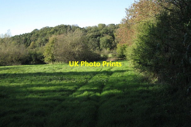 Photo 6"x4" Woods and fields north of Bushwood House Lowsonford c2010