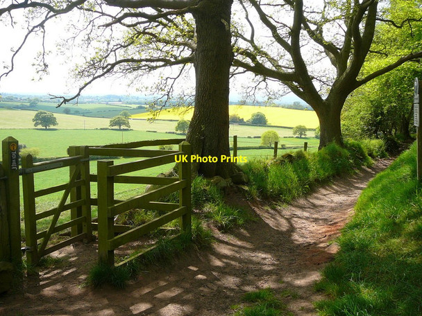 Photo 6"x4" Sandstone Trail below Larkton Hill Bickerton\/SJ5052 c2010