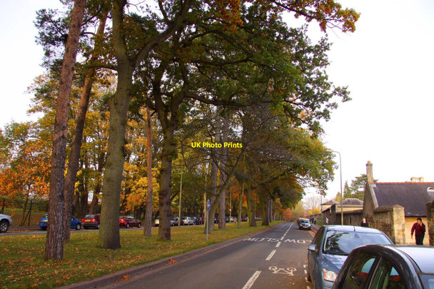 Photo 6"x4" Warneford Road in Oxford Oxford\/SP5106 c2010