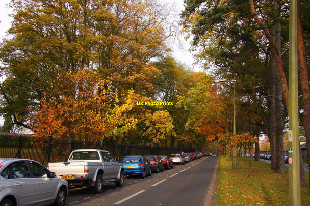 Photo 6"x4" Warneford Road in Oxford Oxford\/SP5106 c2010 P1