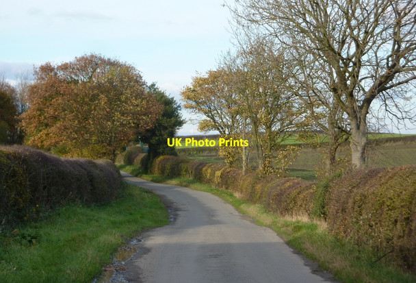 Photo 6"x4" Back Lane, looking north Calow Green c2010