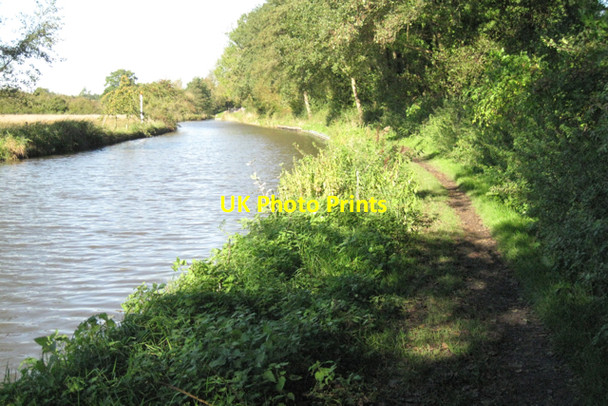 Photo 6"x4" Towpath beside alderwood Holywell\/SP1966 c2010