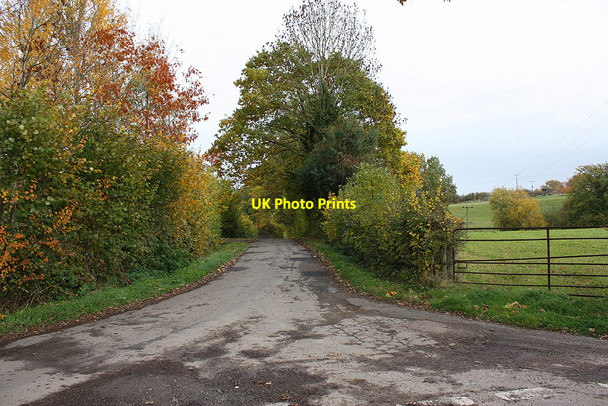 Photo 6"x4" Lane to Haywood Farm Gorsley Common c2010