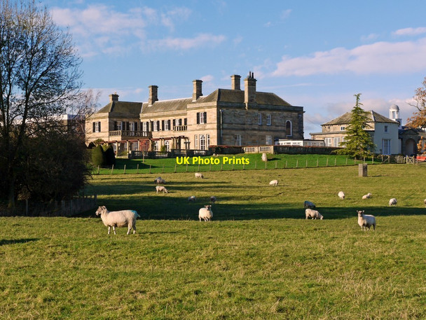 Photo 6"x4" Kirkley Hall Ogle c2010