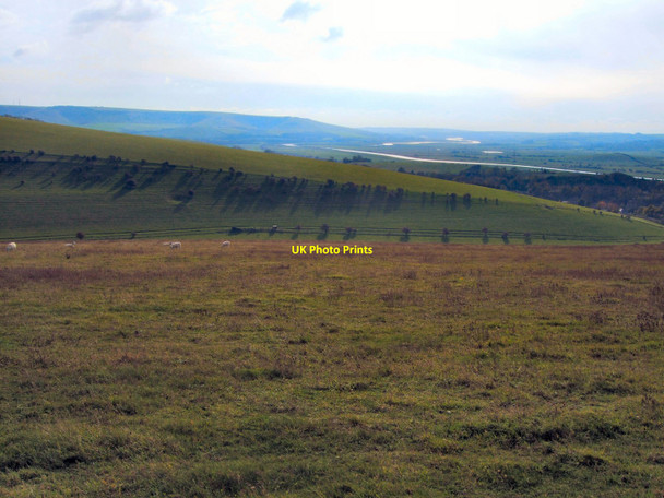 Photo 6"x4" Looking South from Southerham Nature Reserve  Lewes c2010