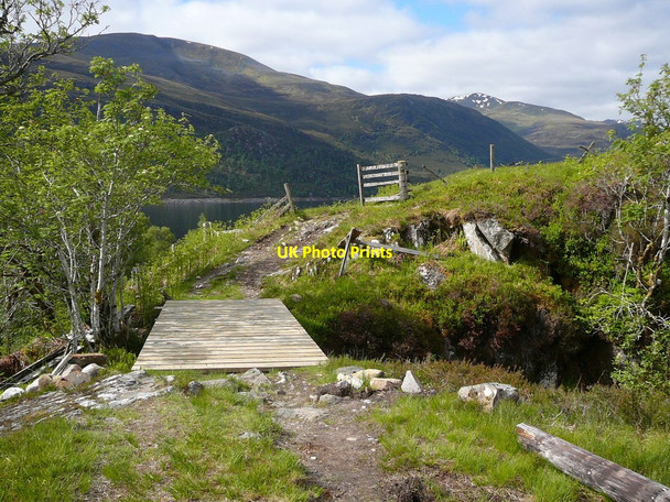 Photo 6"x4" Modern wooden footbridge at Mullardoch Glen Cannich\/NH2130 c2010