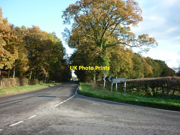 Photo 6"x4" The road to Warthill form Stockton on the Forest Moor End\/SE6656 c2010