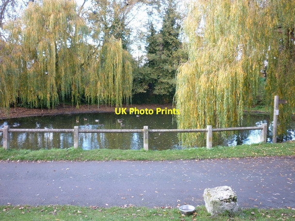 Photo 6"x4" Warthill village pond Warthill\/SE6755 c2010
