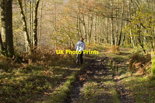 Photo 6"x4" Permissive footpath in Roeburndale Wray c2010
