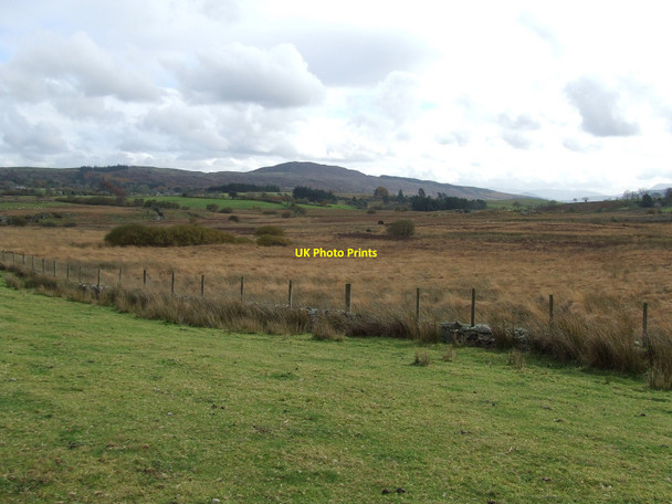 Photo 6"x4" Open Land Bronaber c2010