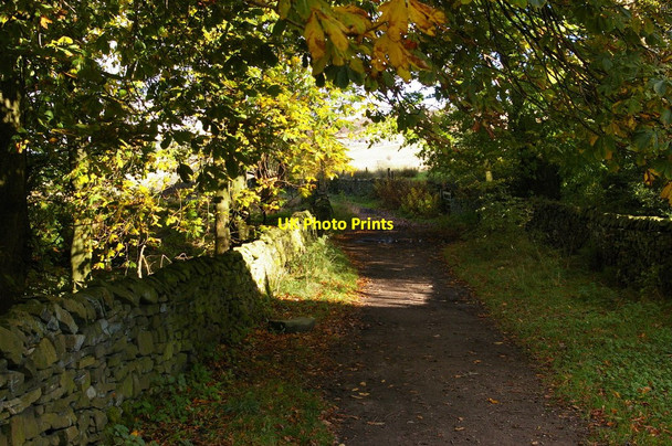 Photo 6"x4" Gritstone Trail: lane out of Lyme Park towards Disley Lane Ends\/SJ9883 c2010