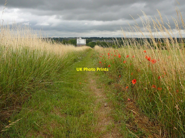 Photo 6"x4" On the Angles Way at Mettingham Annis Hill\/TM3589 c2010