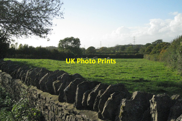 Photo 6"x4" Field near Kyneton Park Lodge Alveston Down c2010