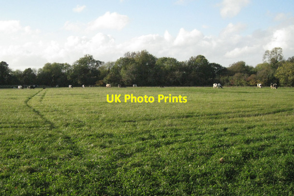 Photo 6"x4" Flat field by Bond Lane Alveston Down c2010