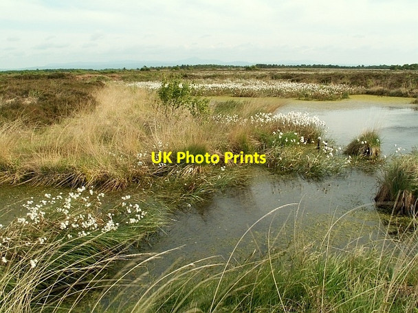 Photo 6"x4" Bog pool, Bowness Common Anthorn c2008