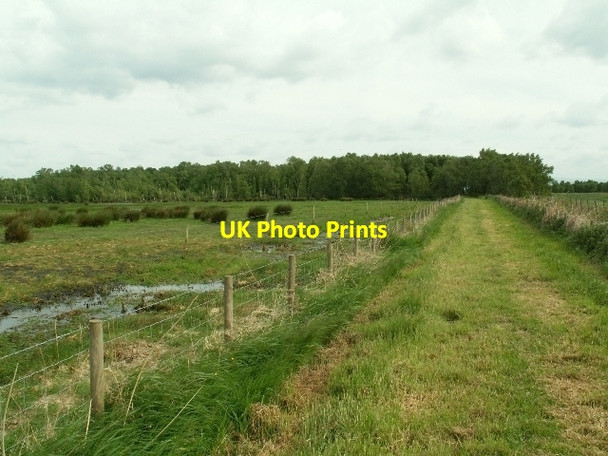 Photo 6"x4" Grass track, Campfield Marsh Anthorn c2008