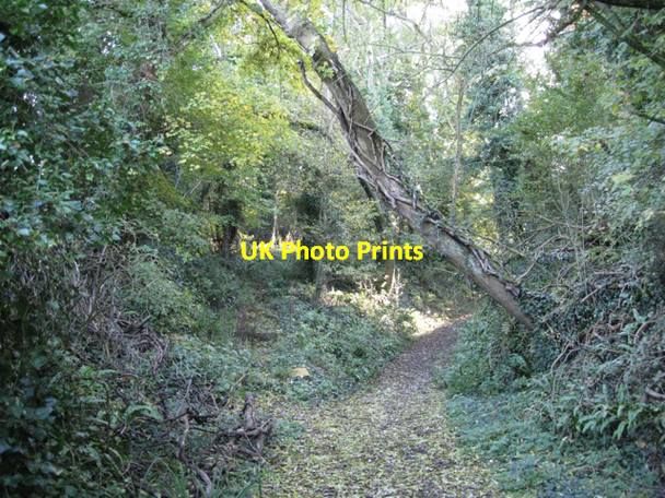 Photo 6"x4" Bond Lane negotiates a hillside Kington\/ST6290 c2010
