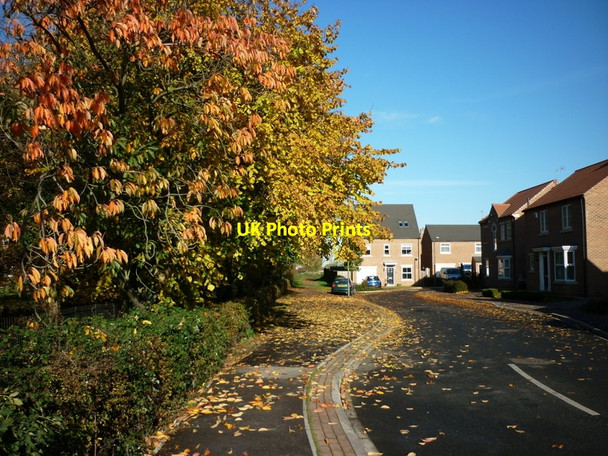 Photo 6"x4" The Laurels, Barlby Selby c2010