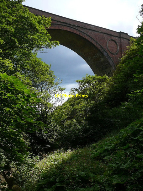 Photo 6"x4" Hawthorn Dene Railway Viaduct Easington Colliery c2010