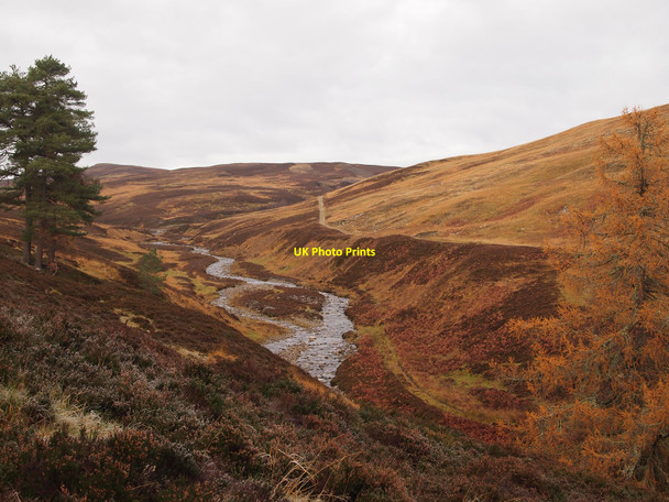Photo 6"x4" Glen Banvie Bailanloan c2010