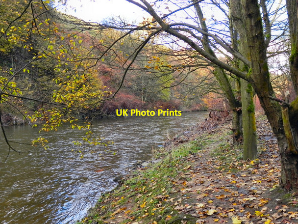 Photo 6"x4" River Irwell, Ladyshore Kearsley\/SD7505 c2010