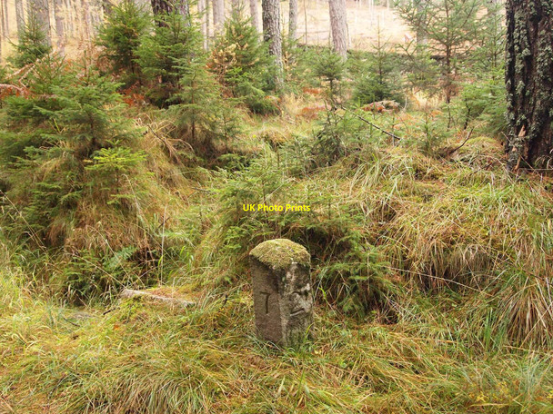 Photo 6"x4" Milestone on Baluain Wood Bailanloan c2010