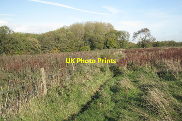 Photo 6"x4" Kington Grove Thornbury\/ST6490 c2010
