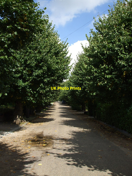 Photo 6"x4" Western Road, Rayleigh Rayleigh c2010
