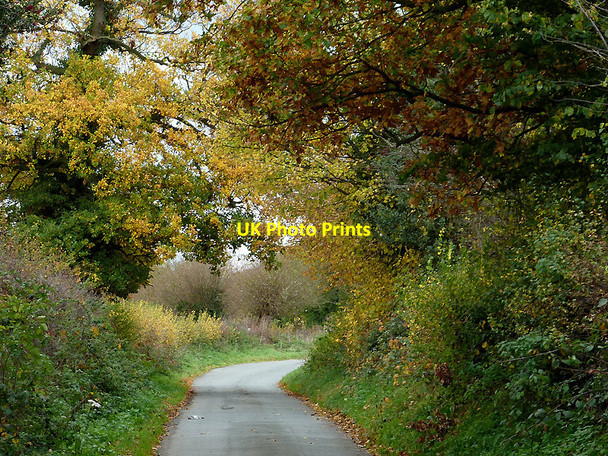 Photo 6"x4" Withymere Lane near Wombourne, Staffordshire Gospel End Village c2010