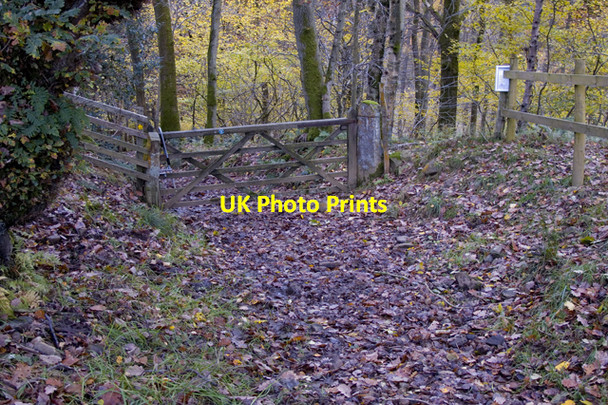 Photo 6"x4" Footpath entrance and access information to Outhwaite Wood Wray c2010