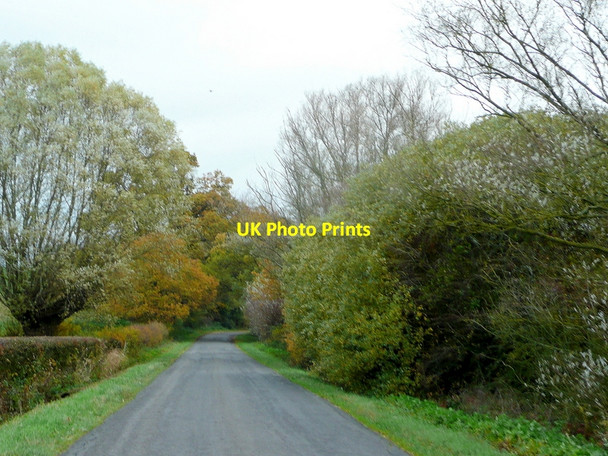 Photo 6"x4" Ham Road 2 Hasfield c2010