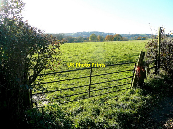 Photo 6"x4" Footpath west Orcop c2010
