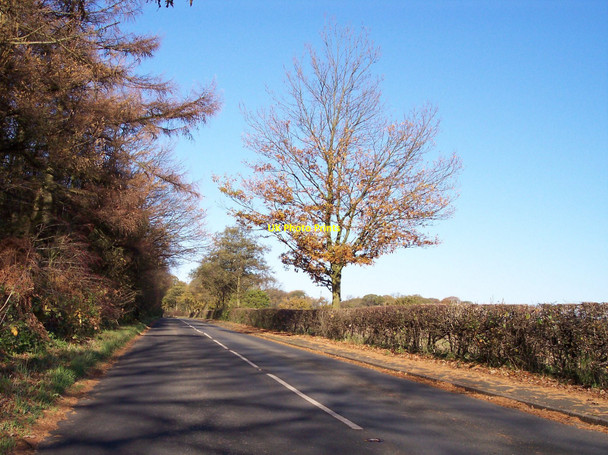 Photo 6"x4" Intake Lane passes Bickerstaffe Wood Barrow Nook c2010