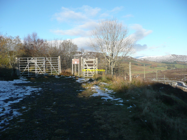 Photo 6"x4" Gate to Brerachan Forest Carn Dubh\/NN9862 c2010