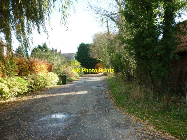 Photo 6"x4" Little Lane, Biggin Biggin\/SE5434 c2010