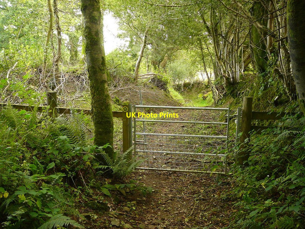 Photo 6"x4" Bridleway  east of Lampeter Velfrey Lampeter Velfrey c2010