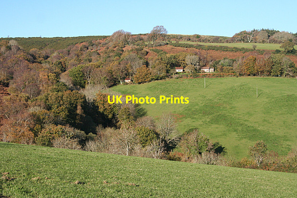 Photo 6"x4" Holne: towards Great Combe Holne c2010
