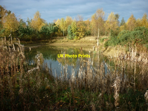 Photo 6"x4" One of the ponds in Gateforth Wood Gateforth c2010