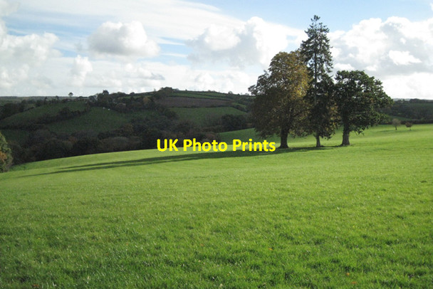 Photo 6"x4" Parkland east of Canonteign House Hennock c2010