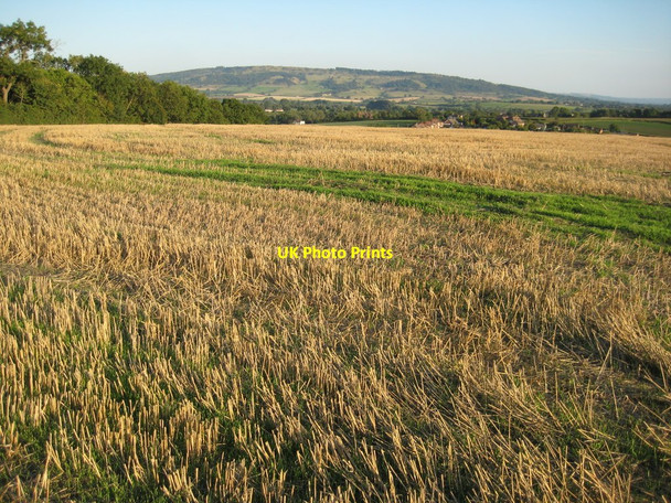 Photo 6"x4" Bredon Hill View from Broad Hill Besford\/SO9144 c2010