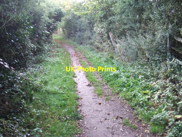 Photo 6"x4" Coastal footpath on West Cliff Niton c2010