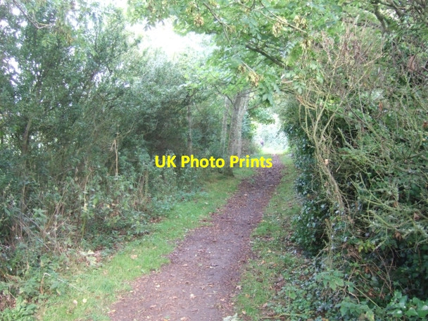 Photo 6"x4" Coastal footpath on West Cliff Niton c2010 P1